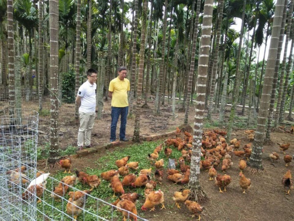 圖片3_副本.jpg 圖片3_副本.jpg