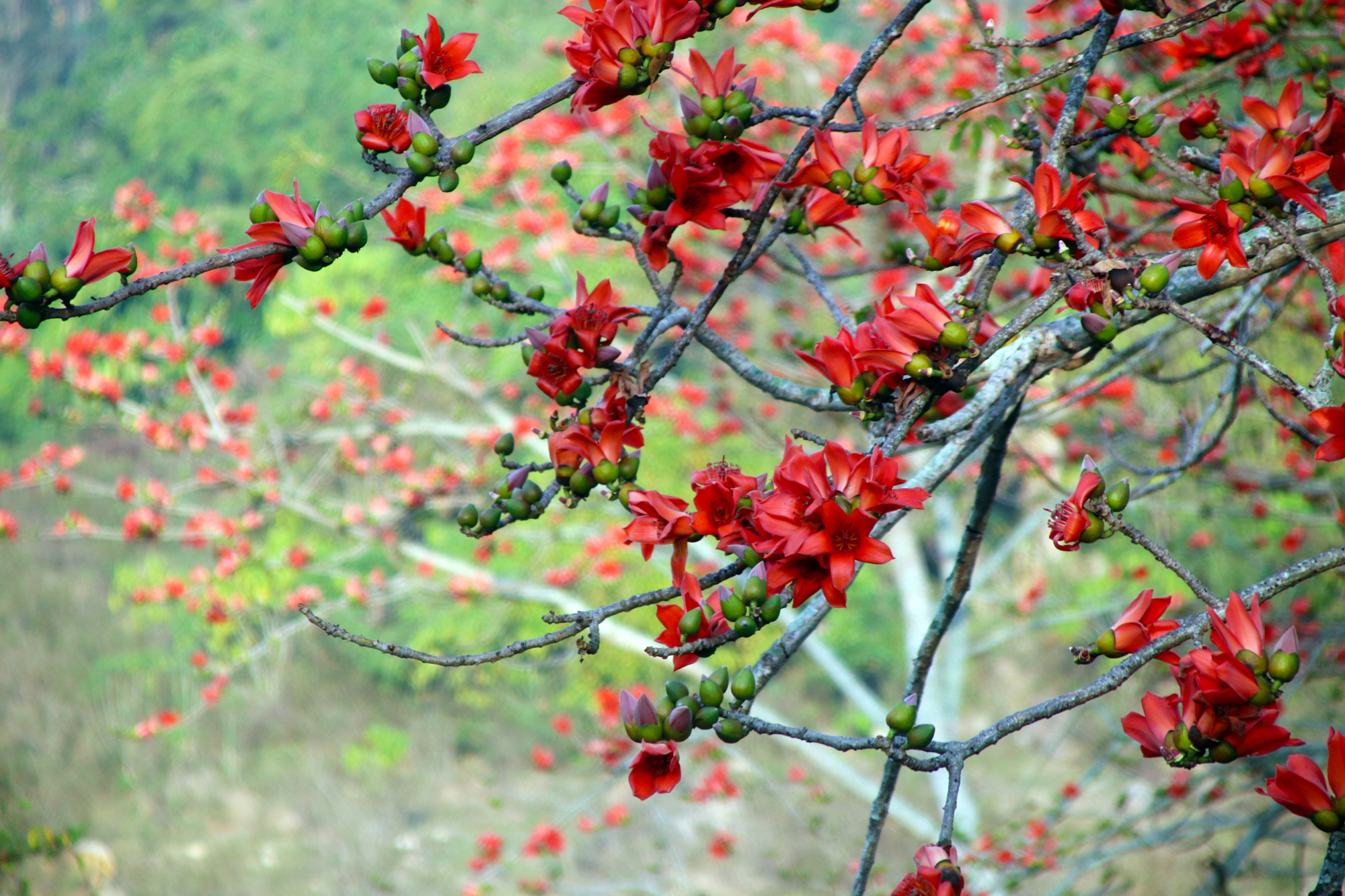 20220422���D����SIT�W(xu��)�ӏļ��l(xi��ng)�ā��Ĵ��� (1).jpg