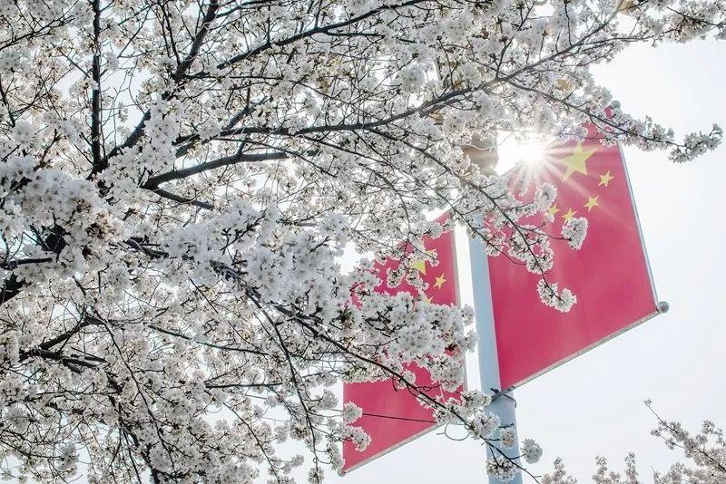 20220422���D����SIT�W(xu��)�ӏļ��l(xi��ng)�ā�(l��i)�Ĵ��� (3).jpg