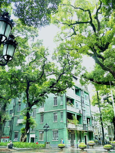 20220422���D����SIT�W(xu��)�ӏļ��l(xi��ng)�ā��Ĵ��� (15).jpg