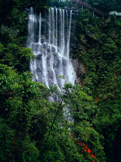 20220422���D����SIT�W(xu��)�ӏļ��l(xi��ng)�ā��Ĵ��� (24).jpg