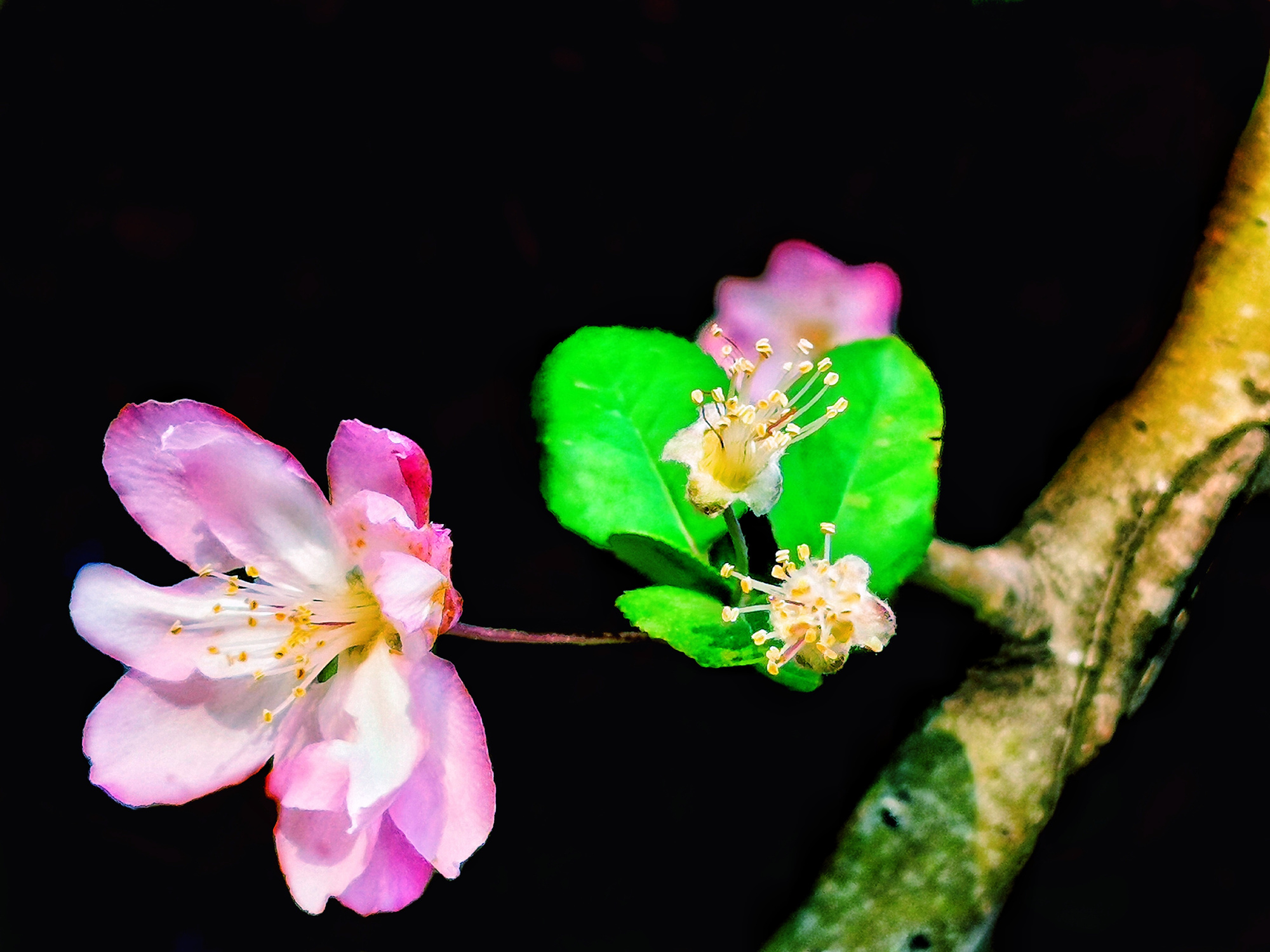 20220422���D����SIT�W(xu��)�ӏļ��l(xi��ng)�ā�(l��i)�Ĵ��� (17).jpg