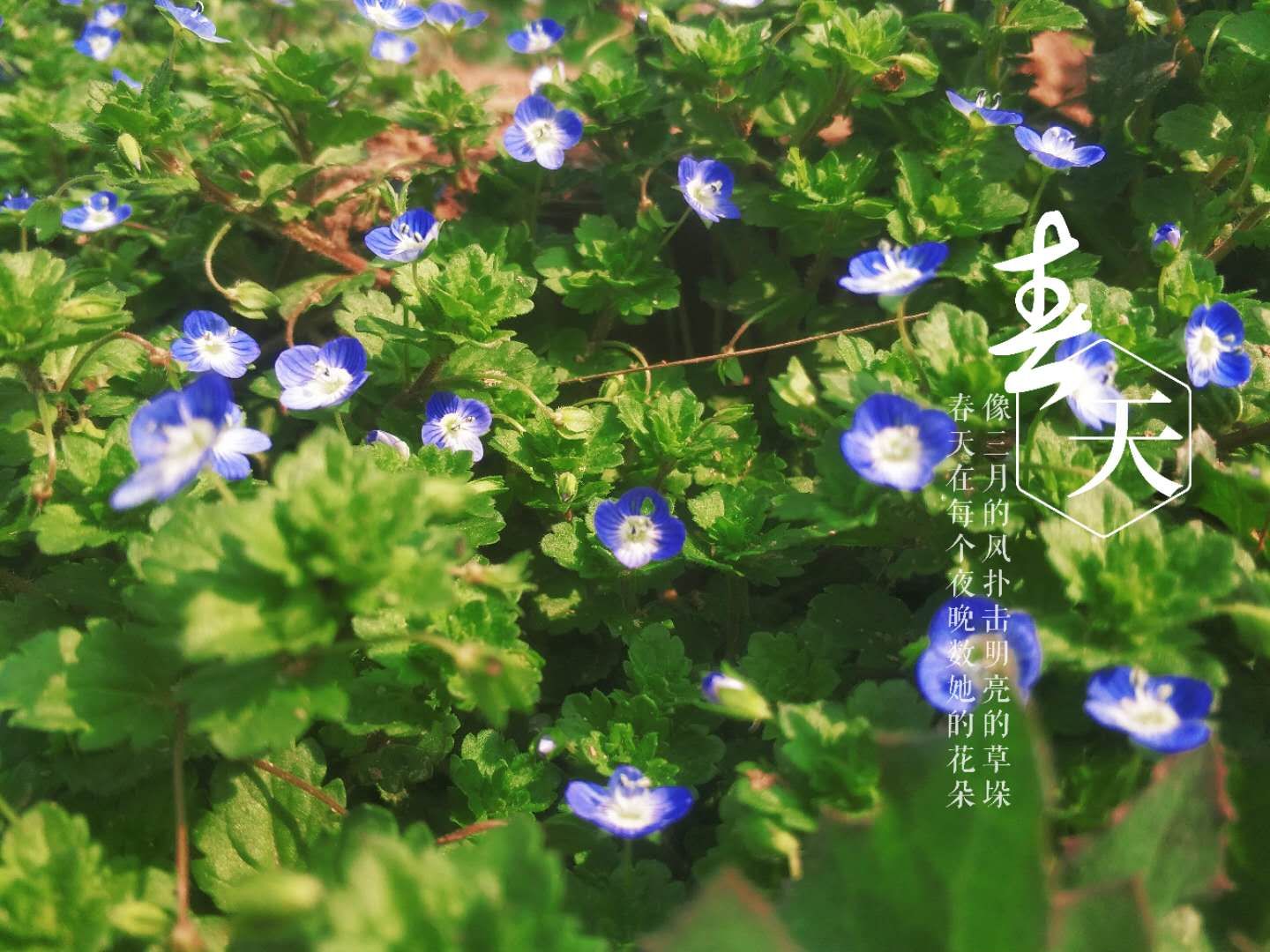 20220422���D����SIT�W�ӏļ��l(xi��ng)�ā��Ĵ��� (7).jpg