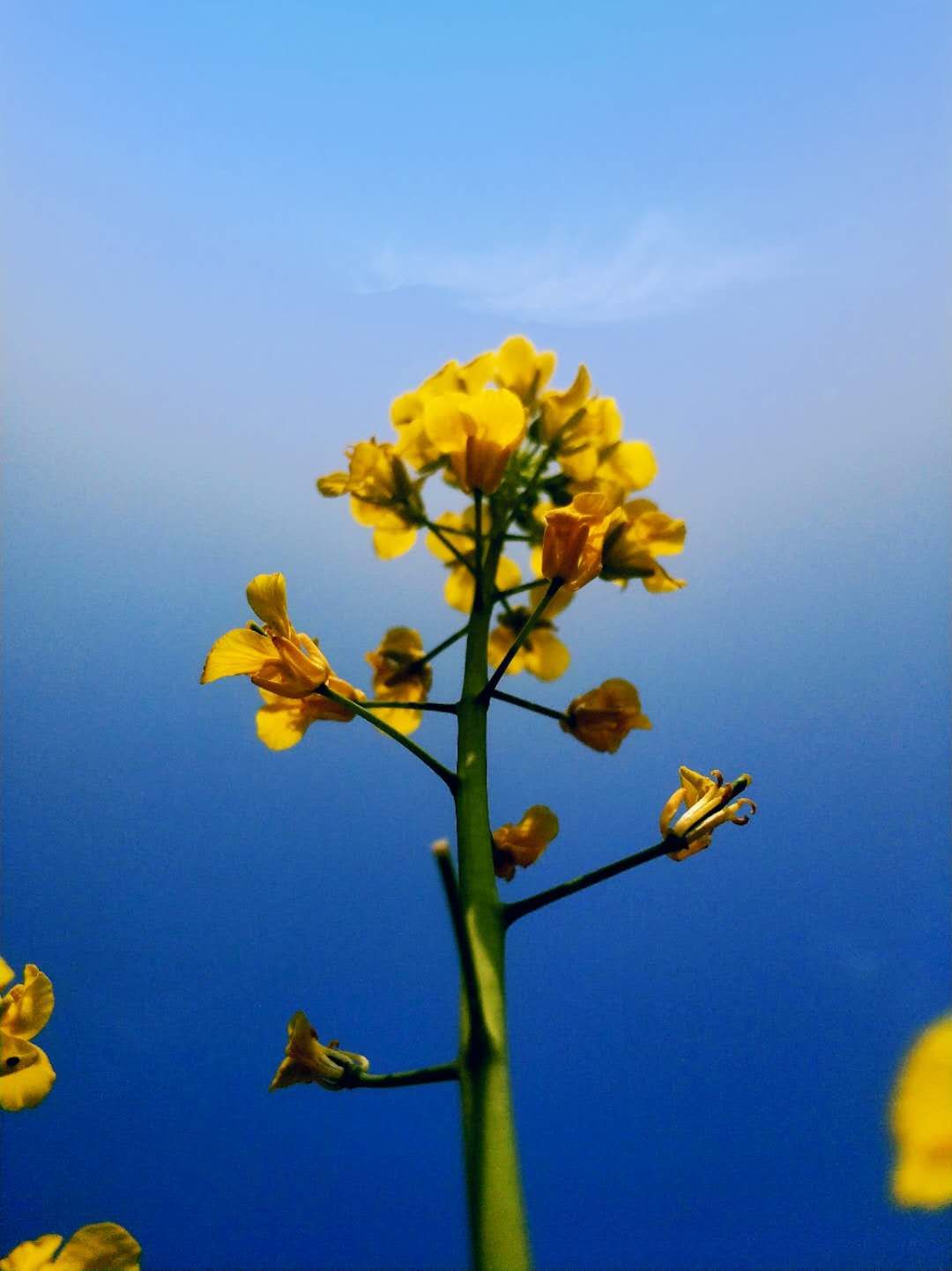 20220422���D����SIT�W�ӏļ��l(xi��ng)�ā��Ĵ��� (6).jpg