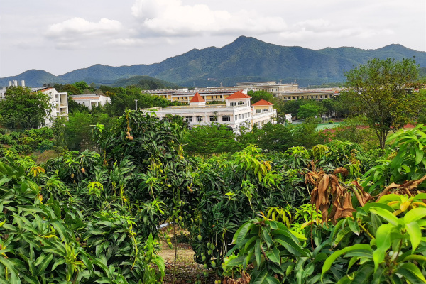 微信圖片_20200502102703.jpg 微信圖片_20200502102703.jpg