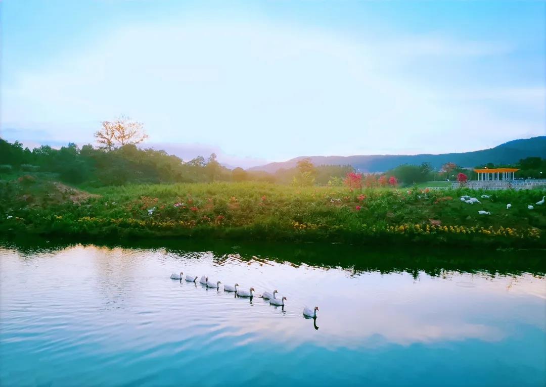 微信圖片_20201222104054.jpg 微信圖片_20201222104054.jpg