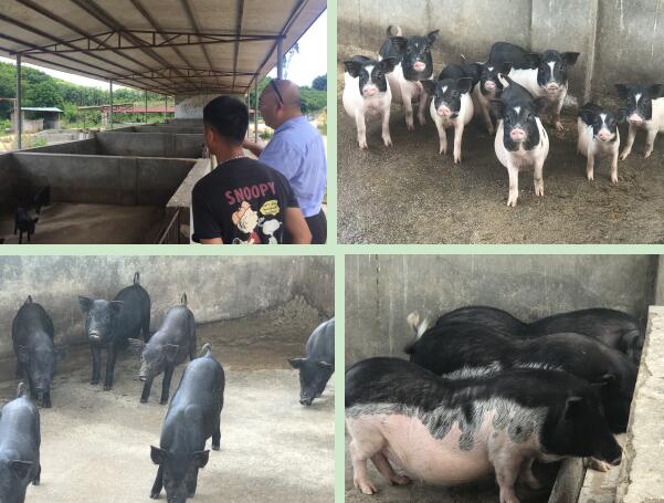 QQ截圖20210625110012.jpg QQ截圖20210625110012.jpg