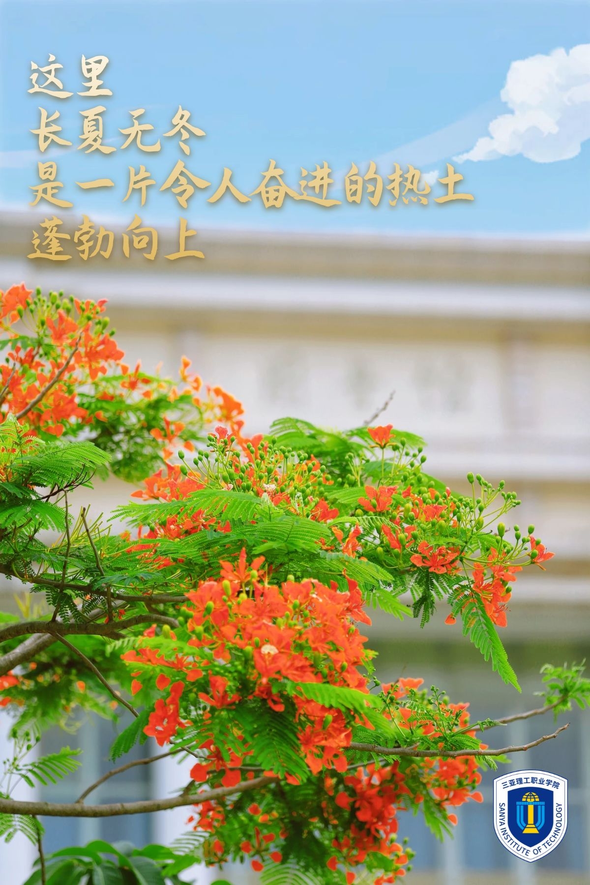 �D˾�?20220607-30916120 (1).jpg