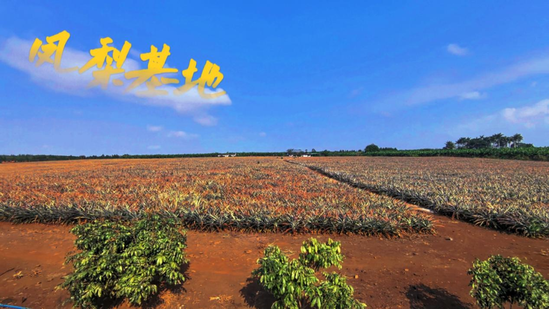 17093651977236631.png 17093651977236631.png