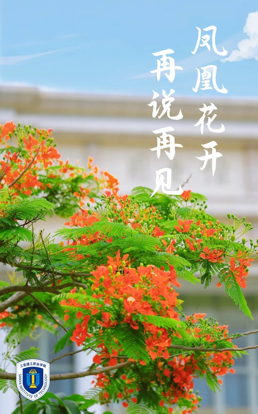 圖司�?20240305-39031976 (1).jpg 圖司�?20240305-39031976 (1).jpg