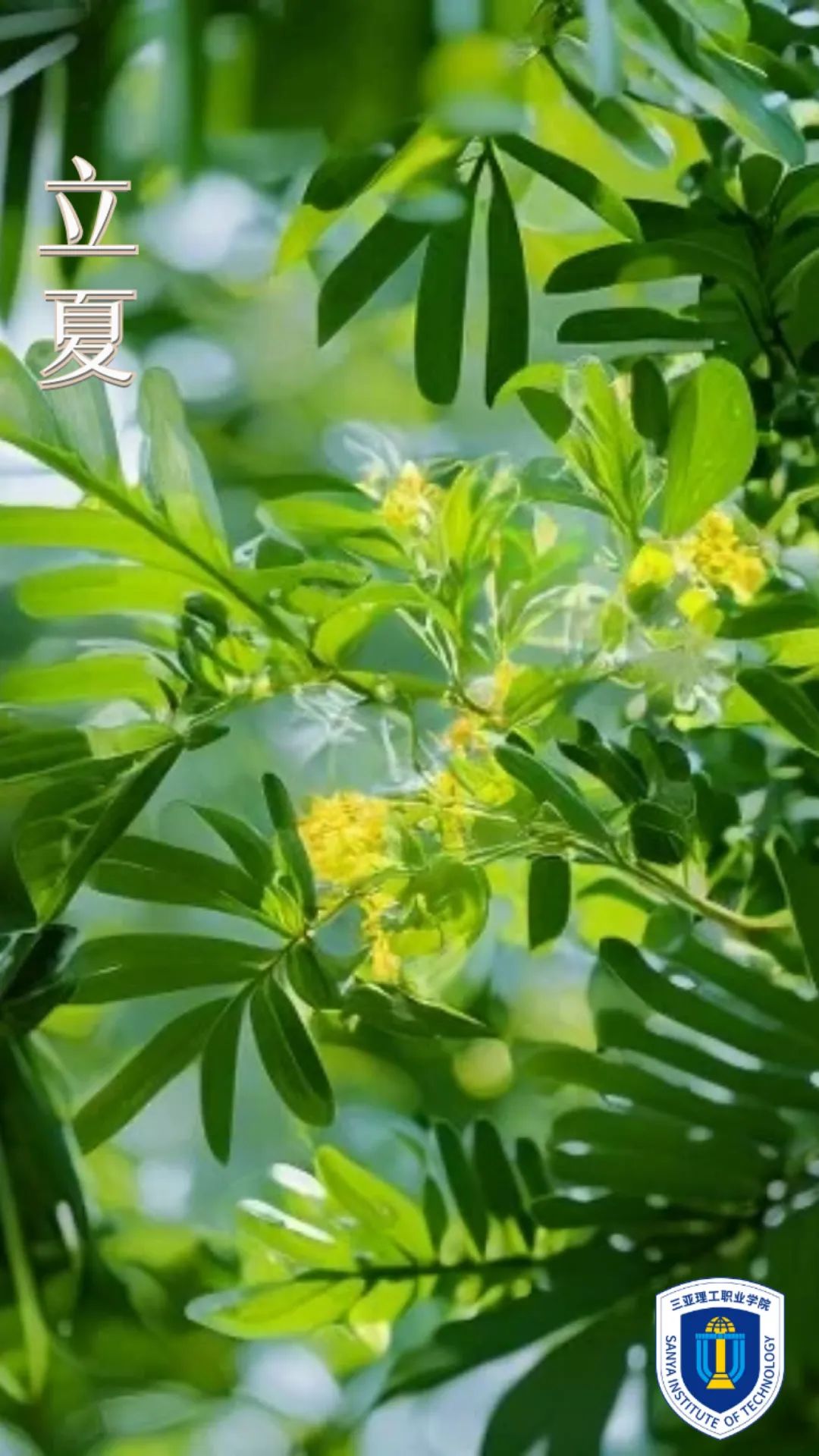 640 (2).jpg 640 (2).jpg