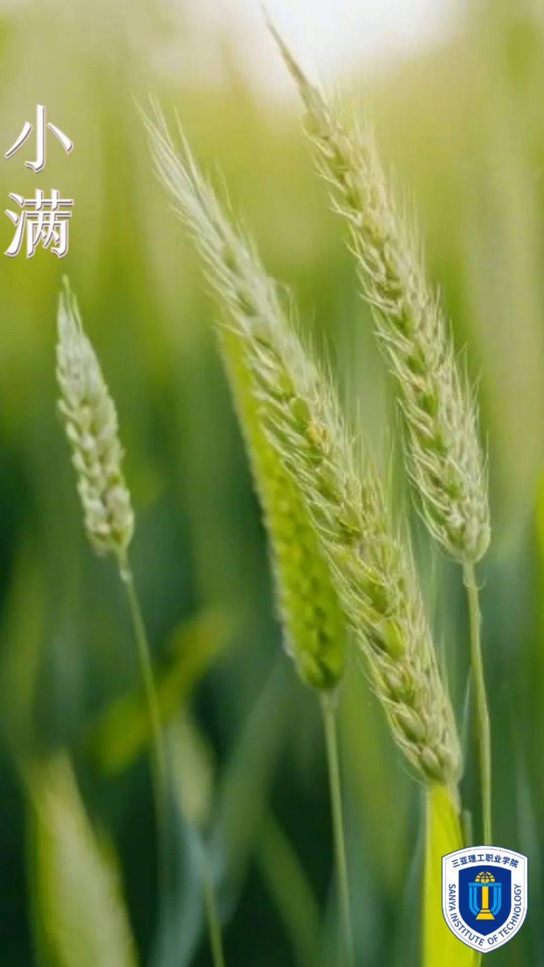 640 (7).jpg 640 (7).jpg