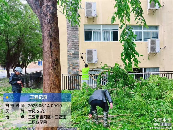 cc8da60001e1f094fd5045c30425f43.jpg cc8da60001e1f094fd5045c30425f43.jpg