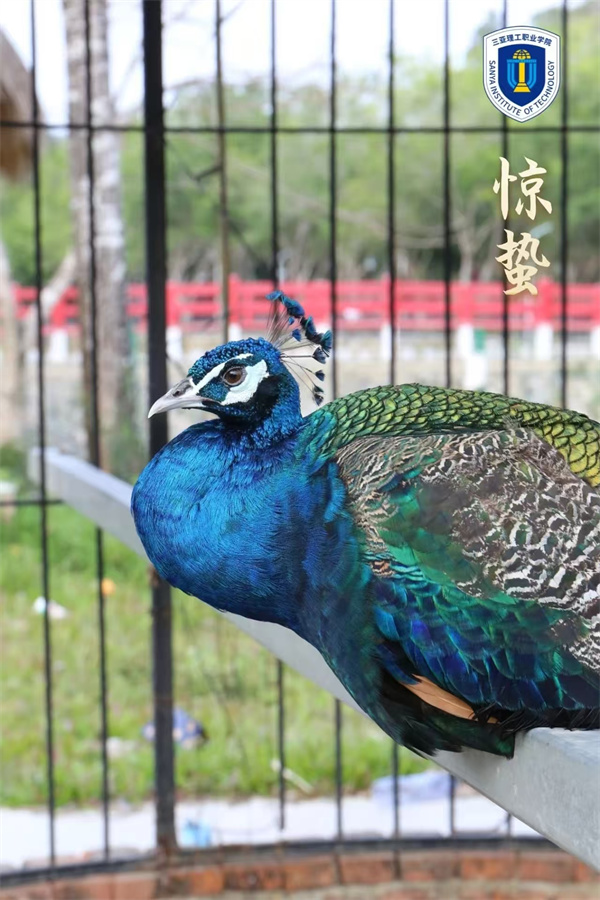 d951fceba7620ddad6fbb62384ac3dee.jpg d951fceba7620ddad6fbb62384ac3dee.jpg