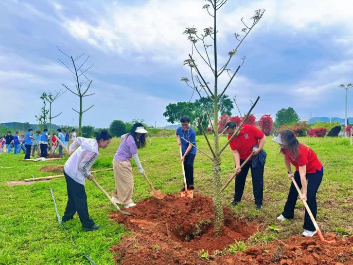 圖片 3.png 圖片 3.png