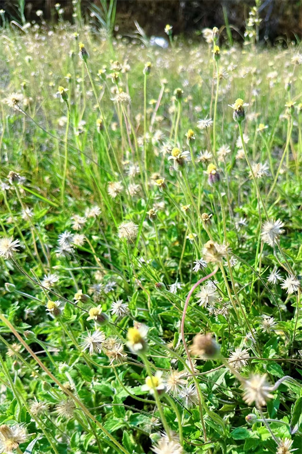 ea735b516004722ba997813f23f76270.jpg ea735b516004722ba997813f23f76270.jpg